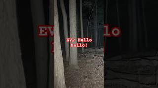 Disembodied voice saying hello hello out in the woods evp [upl. by Odraleba]