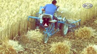 BCS 3 Wheel Reaper Binder Wheat Harvesting Solution [upl. by Lippold]