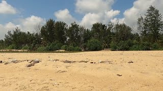 🌞🏝️ Walk along the Wild Coast of Badalona Island [upl. by Ynohtnacram]