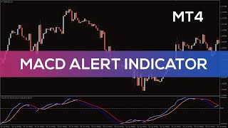 MACD Alert Indicator for MT4  BEST REVIEW [upl. by Fancy]