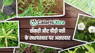 Calaris Xtra Educational Hindi [upl. by Patrizio724]