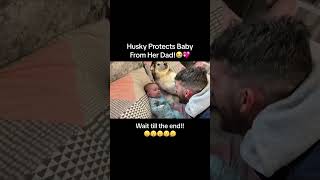 Dogs protect babies from harm love baby doglover [upl. by Rudolfo586]