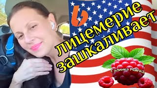 Big Big Family in the USA Лицемерие зашкаливает Обзор Жизнь в Америке США Vlog [upl. by Oel]