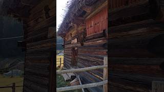 Old Wooden House 🏡 thatched roof 🍃 [upl. by Martreb]