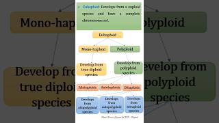 Haploid and Aneuploidy [upl. by Liatris]