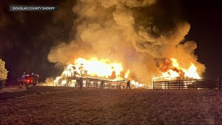 At least 10 horses killed in Colorado barn fire [upl. by Airetahs]