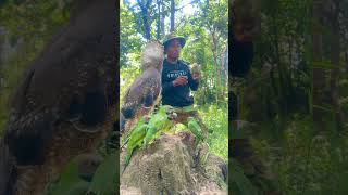 A man see eagle and parrot on a small hill at the forest part 05 aewaite oldmanofthemountain [upl. by Mariand]