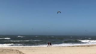 Pilgrims on The Coastal Route of the Portuguese Camino [upl. by Leigh]