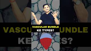 Type of Vascular Bundles neet biology neet2024 foryou [upl. by Axe]