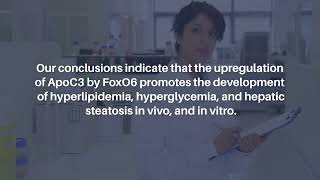 FoxO6 and Hepatic Steatosis in Aged Rats  AgingUS [upl. by Relyuc]