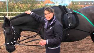 Instinctive Horse Training  Lunging Reins [upl. by Aidul168]