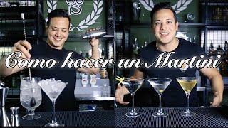 🍸MARTINI  COMO HACER UN DRY MARTINI  TUTORIAL BARTENDER  COCTEL [upl. by Irb505]