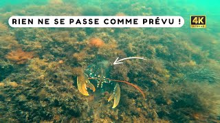 Course poursuite avec deux homards lors dune pêche en apnée  Chasse sous marine Bretagne sud [upl. by Adlanor]