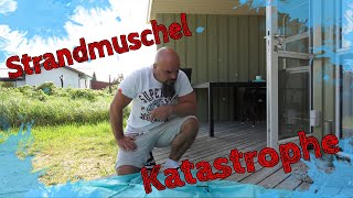 Strandmuschel Katastrophe [upl. by Gibbons]