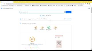 Demo Google PageSpeed Insights [upl. by Nnylav]
