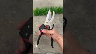 Prune branches with these laborsaving pruning shears Prune branches with these laborsaving pr [upl. by Akinna]