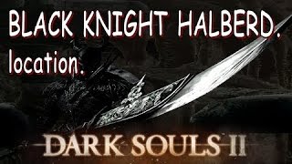 Dark Souls 2 How to Get The Black Knight Halberd location [upl. by Clarey204]