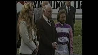 Australian Horse Racing Video Replays  Stradbroke Handicap 1979 Imposing 1980 Ducatoon 1981 Watney [upl. by Almire]