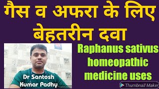 Raphanus sativus homeopathic medicine uses In Gastric Problems [upl. by Sethi]