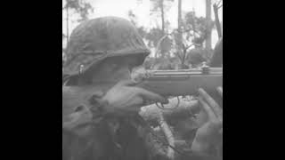 Gewehr 43 in action on the Eastern Front in 1944 [upl. by Marko656]