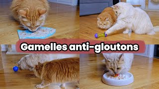 Je teste 4 gamelles antigloutons pour enrichir le quotidien de vos chats   Test amp Avis [upl. by Vinna]