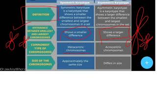 Symmetric karyotype VS Asymmetric karyotype [upl. by Akcinahs259]