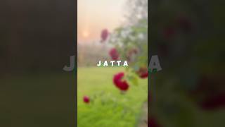 JATTA  HARNOOR  youtubeshorts punjabisongs punjabilyrics [upl. by Beore]