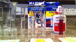 Stocking Options for Aquariums with a High pH and Water Hardness Check out These Fish [upl. by Langley]