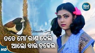 Tate Mo Raana Deli Alo Bai Chadhei  Romantic Album Song  Nibedita  ତତେ ମୋ ରାଣ  Sidharth Music [upl. by Wanfried]