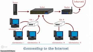 Network Hardware in Action [upl. by Fontes]