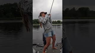 Frogging fishing youtubeshorts shorts bassfishing [upl. by Schroeder]