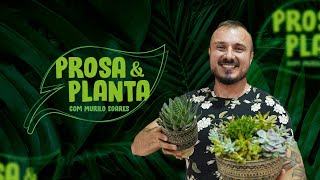 PROSA amp PLANTA COM MURILO SOARES I EPISÓDIO005 [upl. by Haron]