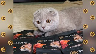 Want a Happy and Healthy Cat Watch This NOW Cats Food Expert [upl. by Evars337]