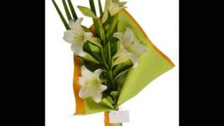 Florerias Tu jardin flores y regalos tujardinonlinecomar [upl. by Block237]