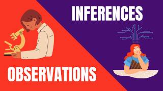 Observations and Inferences Whats the Difference [upl. by Avrenim31]