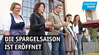 Spargelsaison eröffnet  Preise werden steigen [upl. by Idnat]