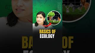 Basics of Ecology  NEET Concept neetbiology neet2024 neetpreparation [upl. by Toole898]