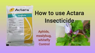 How to use Actara insecticide gardening insecticides insectcontrol terracegarden [upl. by Berlinda]