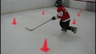 PHD Hockey Training Center with Strong Dynamics Hockey [upl. by Virgy177]