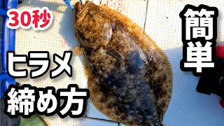 釣れたヒラメを2倍美味しく長持ちさせる方法！30秒でできる熟成前の必須処理 〆めと血抜き方法 [upl. by Aneelad]