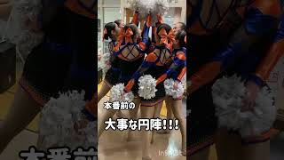 【アルビJrチア】大会選抜メンバー u18日清食品トップリーグ albirex 新潟 albirex チアリーダー [upl. by Ikir]