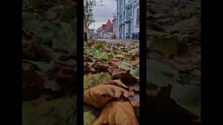 🍂 Autum 🍁 Denmark 🇩🇰 Horsens [upl. by Anoet]