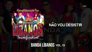 Banda Líbanos  Não Vou Desistir Vol 13 [upl. by Eelrac583]