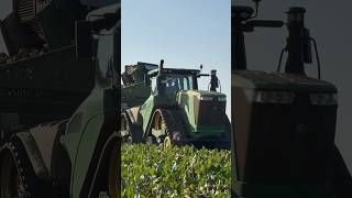 John Deere 9RX amp Holmer T4  Video kommt am Wochenende ✌️ ernte2024 farming landwirtschaft [upl. by Oluap74]