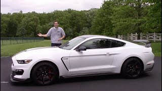 The Shelby GT350R Is the Ultimate Ford Mustang [upl. by Zoilla508]