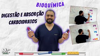 Bioquímica Digestão Absorção dos Carboidratos [upl. by Ahsyekal]