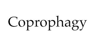 How to Pronounce Coprophagy [upl. by Sidran]