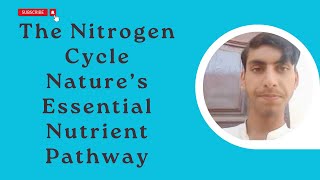 The Nitrogen Cycle Nature’s Essential Nutrient Pathway [upl. by Eilagam]