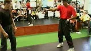 Wing Tsun Emin Boztepe pt 1 [upl. by Sherj569]