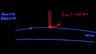 Shunting Inhibition [upl. by Nerra]